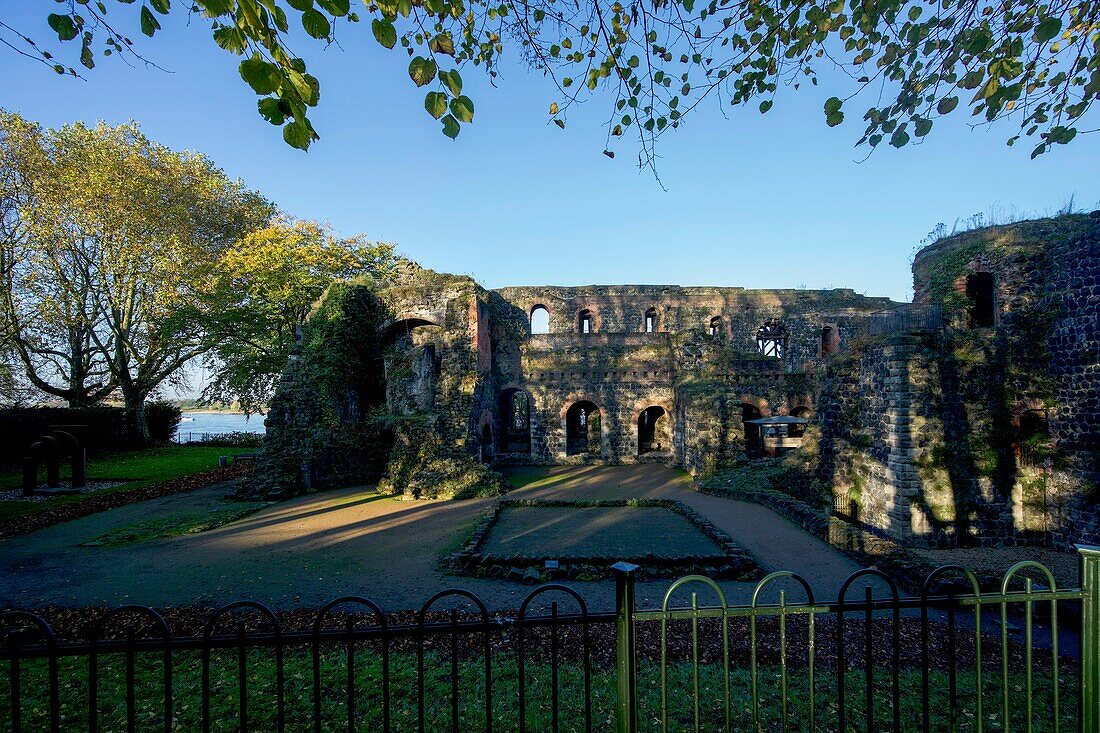  Ruins of the Imperial Palace Kaiserswerth on the Rhine in autumn, seen from the Burgallee, Düsseldorf, NRW, Germany 