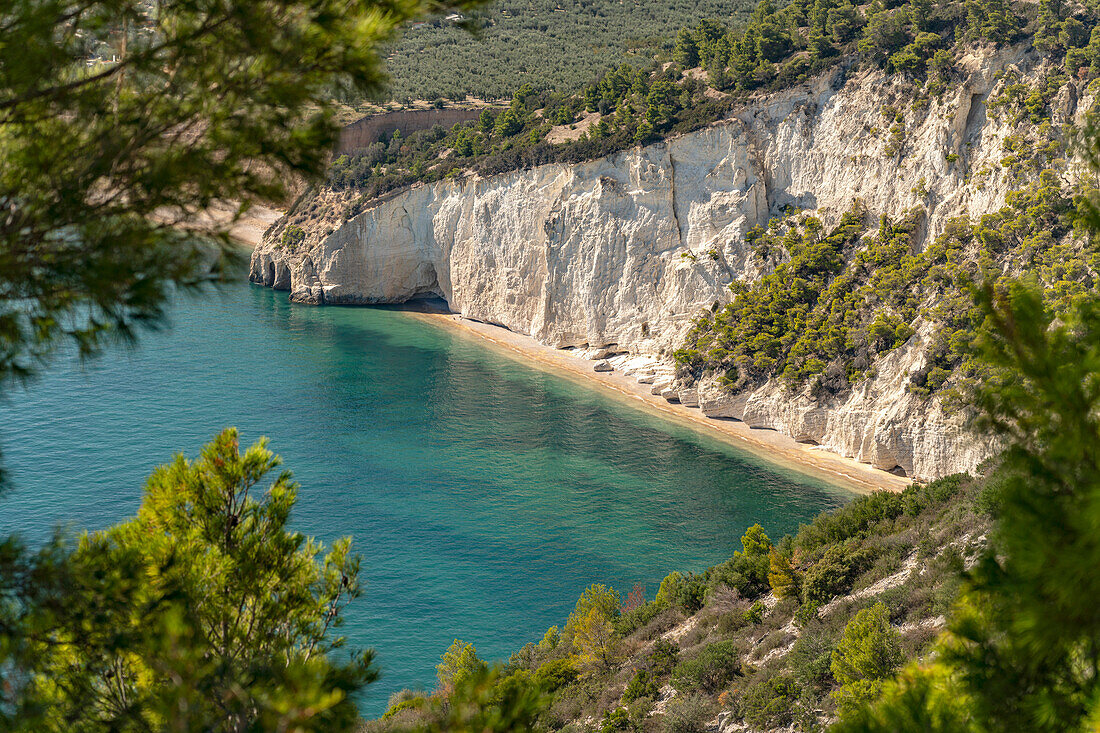  Beach and bay Cala di Enea near Mattinatella, Mattinata, Gargano, Apulia, Italy, Europe 