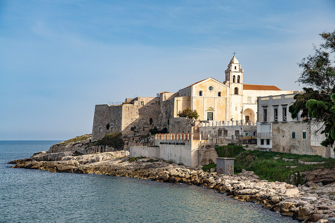  The church Chiesa di San Francesco in Vieste, Gargano, Apulia, Italy, Europe 