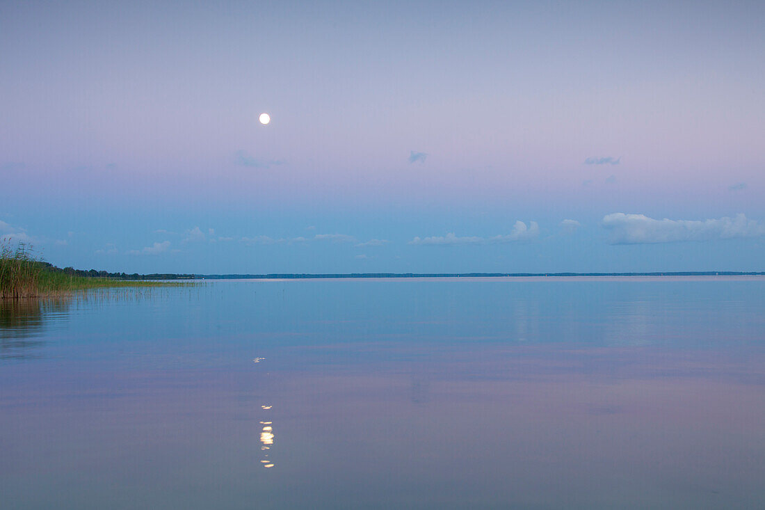 Mond ueber der Müritz, Nationalpark Mueritz, Mecklenburg-Vorpommern, Deutschland