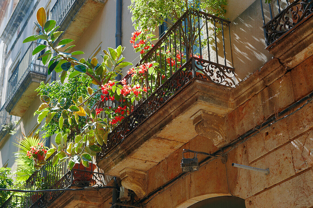 A view from below of a balcony with ornate railings and lush houseplants in the Old Town of Tattragona, Catalonia, Spain.