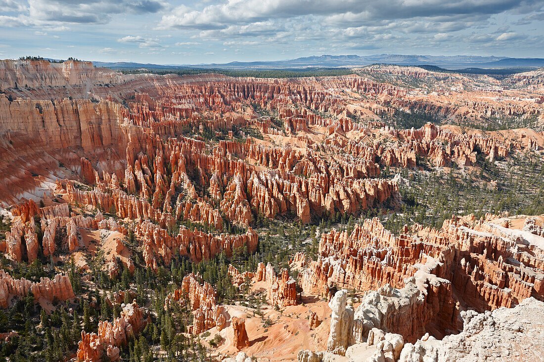 Aussicht auf das Amphitheater im Bryce Canyon, Utah, USA.