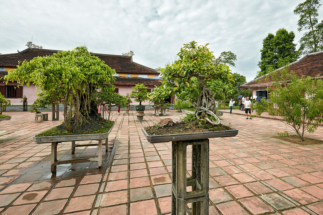 Bonsai garden at the Thien Mu Pagoda. Hue, Vietnam.