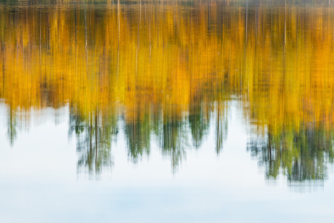 Schweden, Norrbottens län, Torneträsk (Abisko), Detail Spiegelung Herbstwald in See auf Wasseroberfläche