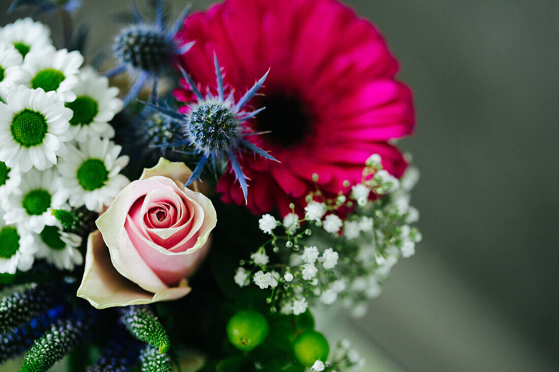  Blumen, Blumenstrauß, Rose, Rosa, Gerbera, Schleierkraut 