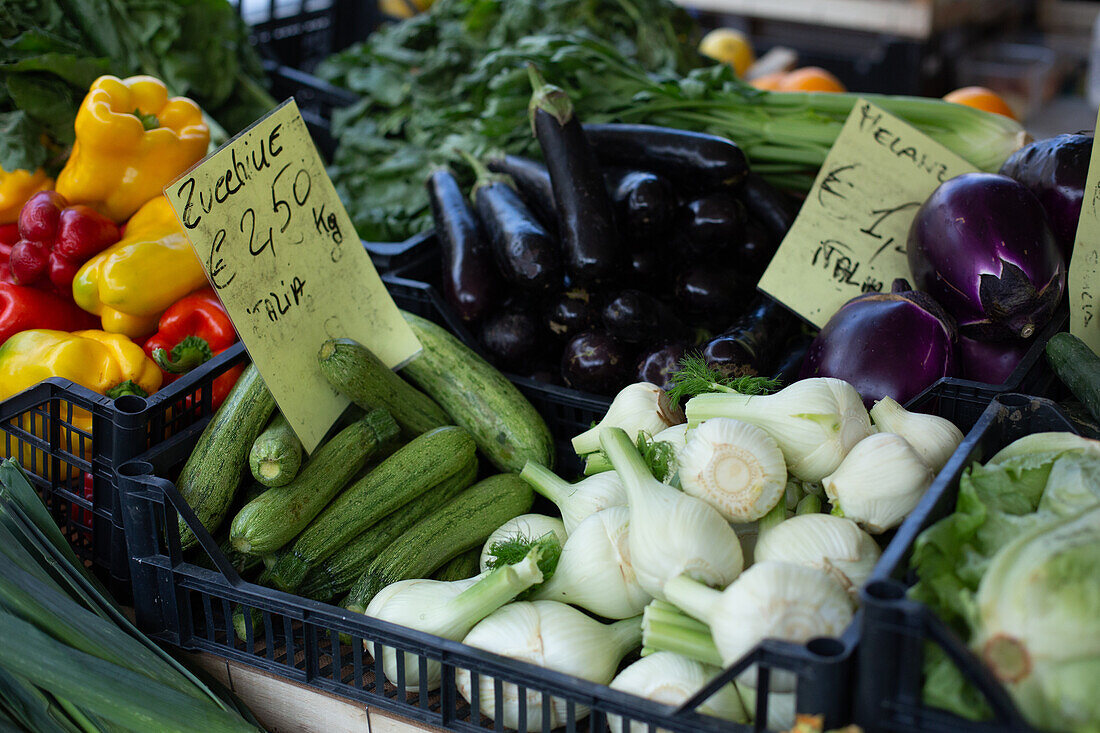 Florence, Italy, Market, Vegetables, Italian Language, Zucchini, Aubergine, Eggplant, Peppers