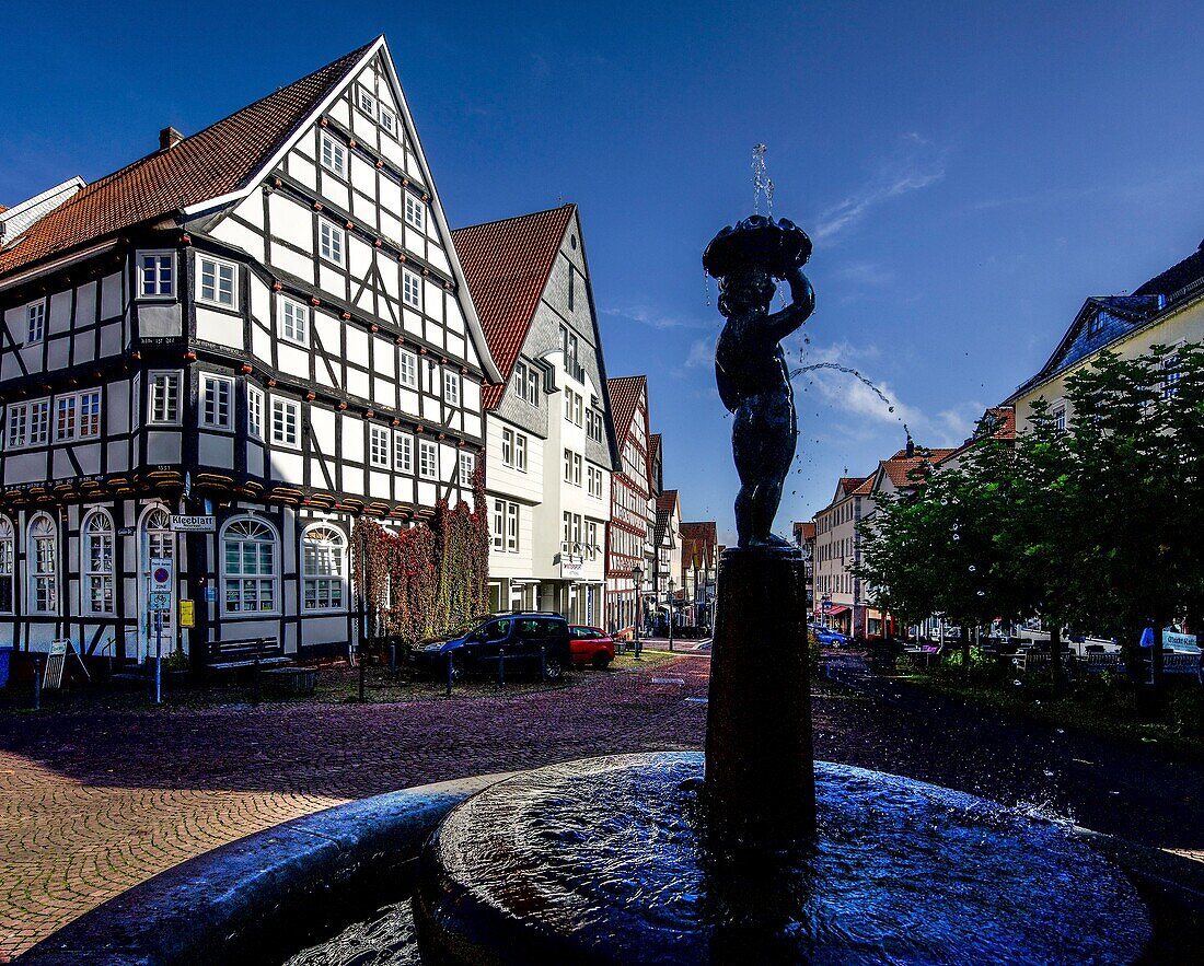 Brunnen und Fachwerkhäuser am Markt, Altstadt von Bad Wildungen, Hessen, Deutschland