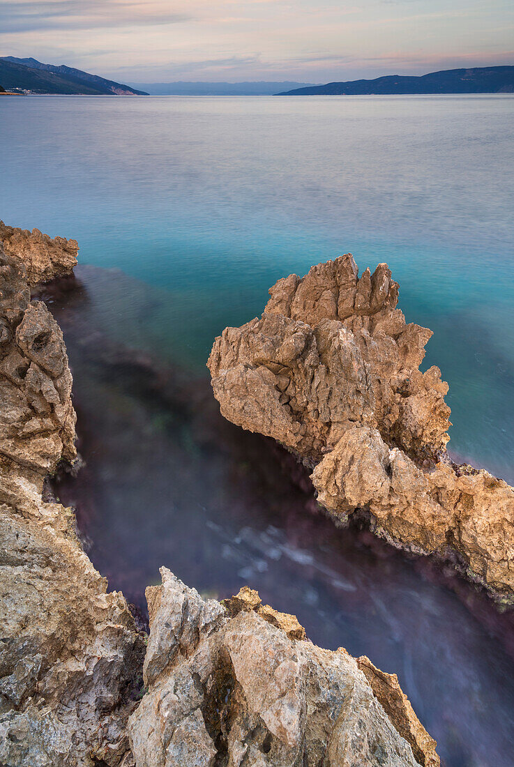  On the shore of the Croatian coast, Istria, Croatia.  