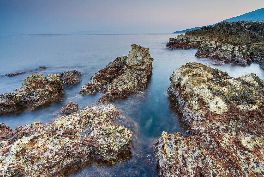  On the shore of the Croatian coast, Istria, Croatia.  