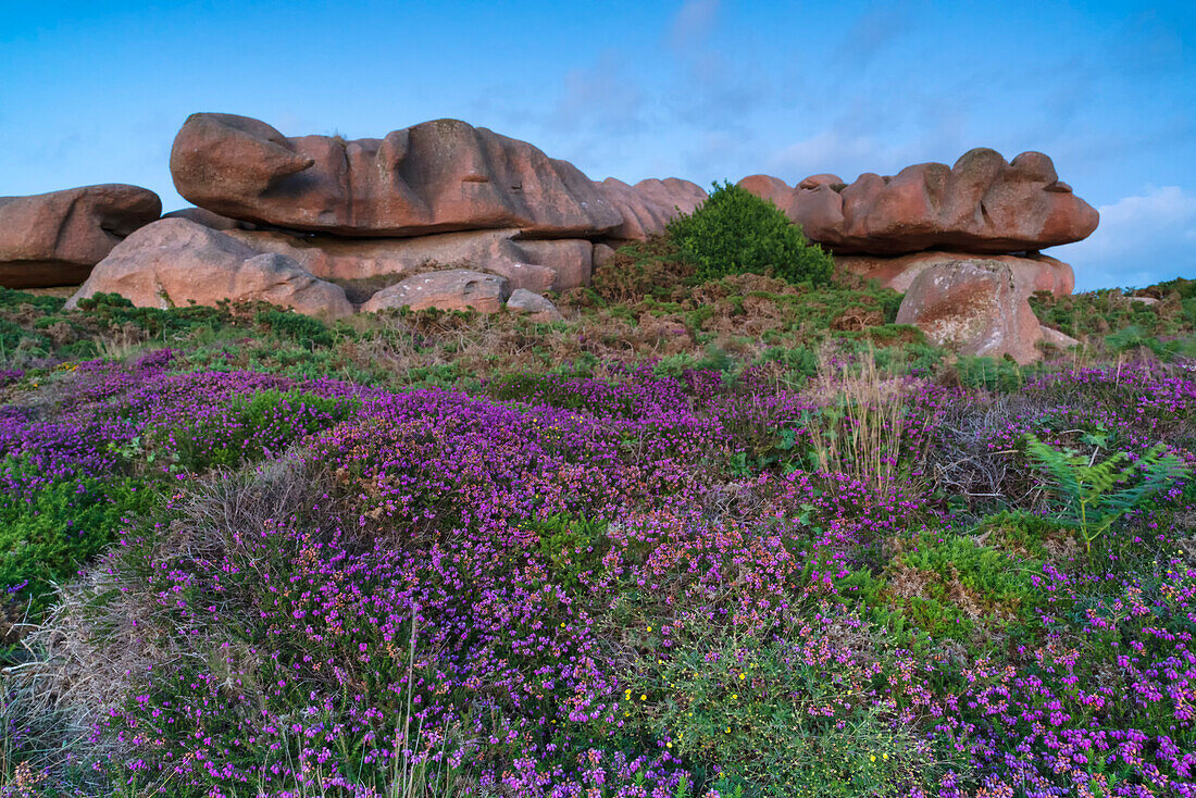  Rock formations on the Côte de Granit Rose, Brittany, France. 