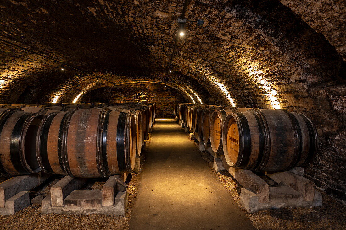 Weinkeller im Weingut Patriarche, Beaune, Côte-d'Or, Bourgogne-Franche-Comté, Frankreich, Europa