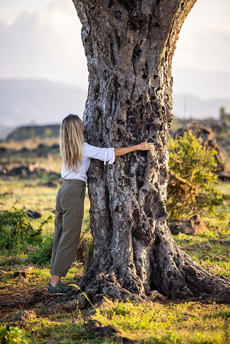 Blonde Frau umarmt Socotra Drachenblutbaum (Dracaena cinnabari) auf dem Diksam Plateau, Gallaba, Socotra Insel, Jemen, Naher Osten