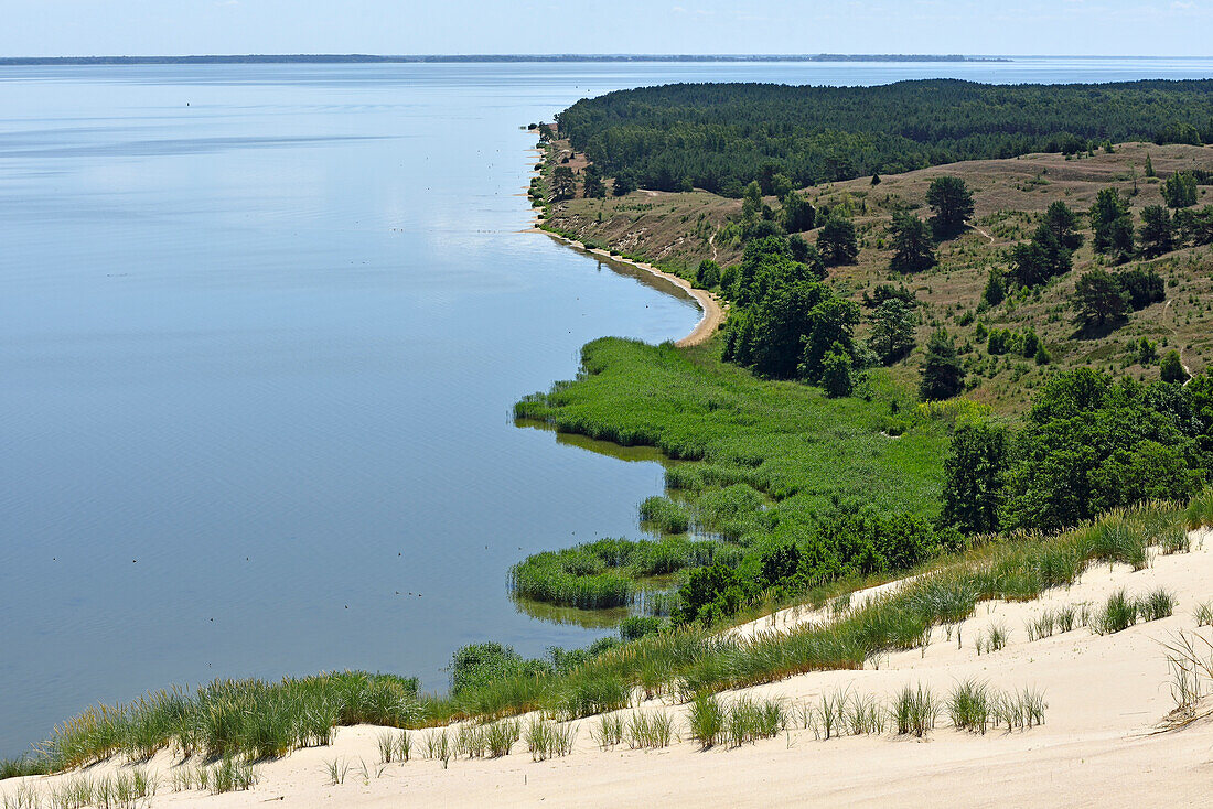 dead sand dunes, Nagliai Nature Reserve, Curonian Spit, Lithuania, Baltic States, North Europe