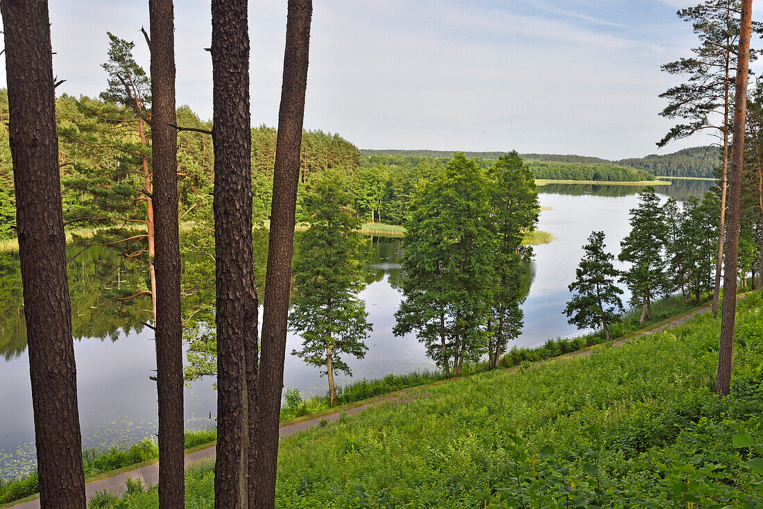 Linkmenas lake seen from the Ginuciai mound where the famous Linknenys castle stood during the 13-15th centuries, Ginuciai, Aukstaitija National Park, Lithuania, Europe