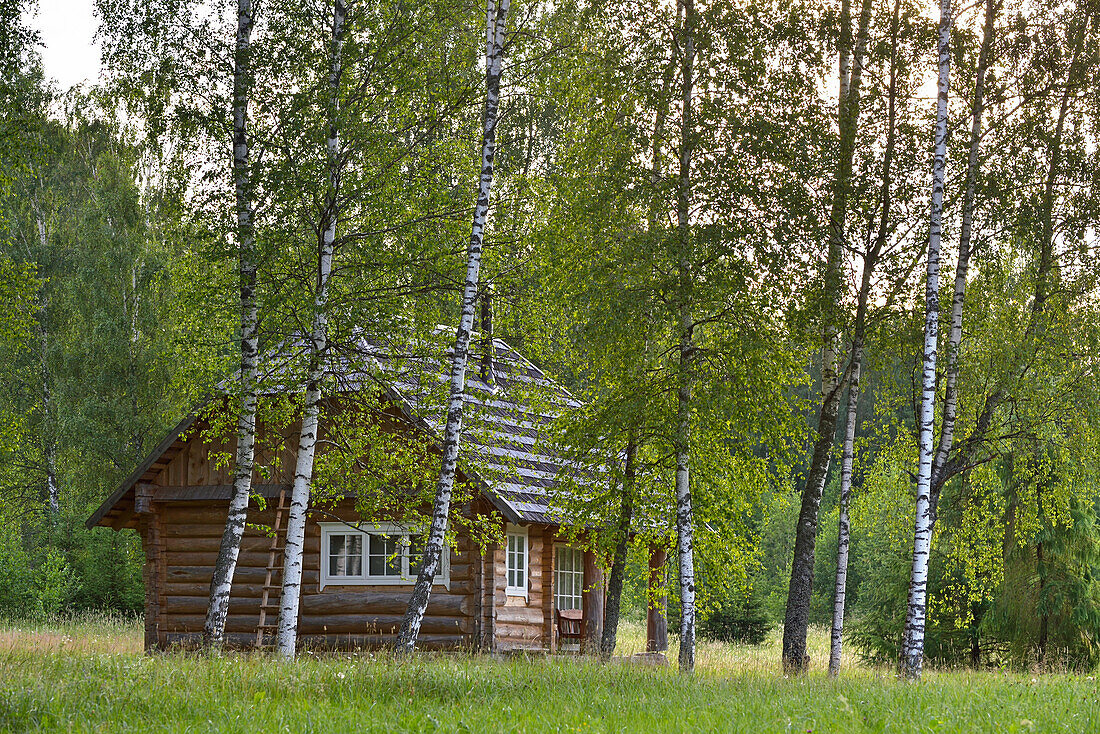 log house, Miskiniskes rural accommodations, Aukstaitija National Park, Lithuania, Europe