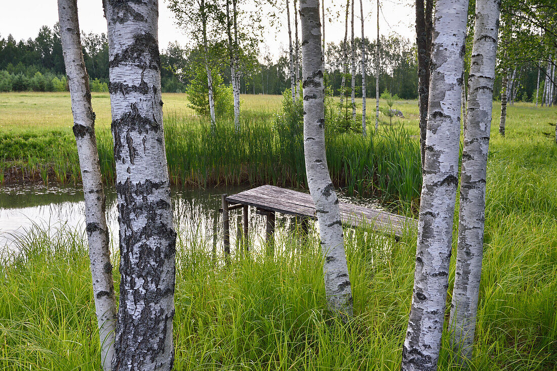 small lake on the homestead, Miskiniskes rural accommodations, Aukstaitija National Park, Lithuania, Europe