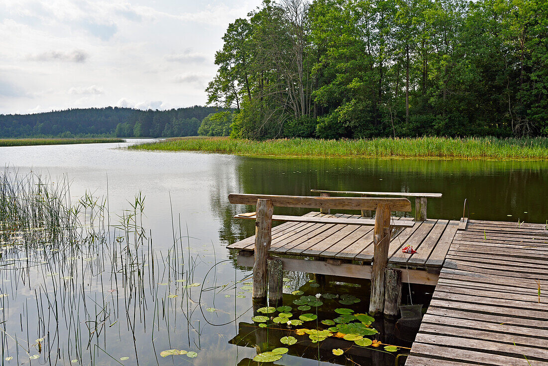 edge of Srovinatis lake, Ginuciai, Aukstaitija National Park, Lithuania, Europe