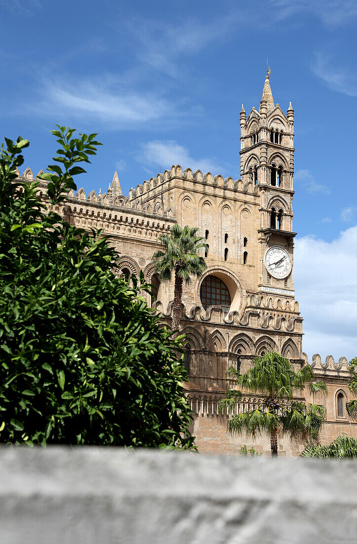  Cathedral of Maria Santissima Assunta, Palermo, Sicily, Italy, Europe 