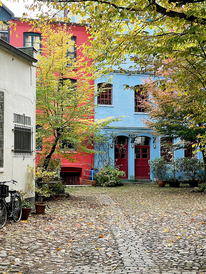  Autumnal backyard in Ottemsen, Hamburg, Germany, Europe 