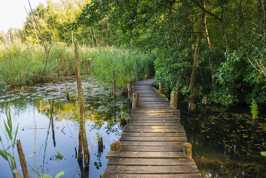  picturesque lake, Biodiversum Camille Gira, Center d&#39;accueil Haff Réimech, near Schengen, Moselle, Luxembourg, Luxembourg 