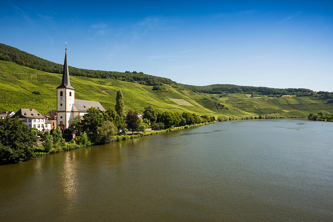 Malerisches Dorf am Fluss und in den Weinbergen, Piesport, Mosel, Rheinland-Pfalz, Deutschland