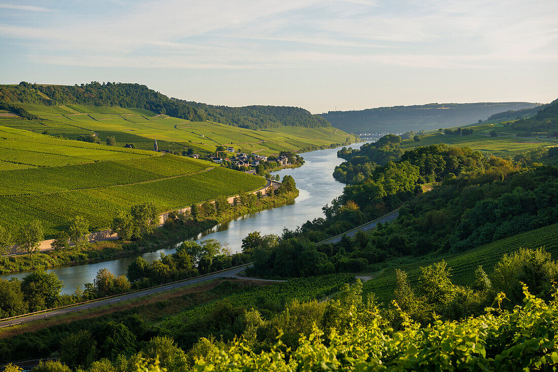  River and vineyards, border with Lichtenstein, Wincheringen, near Trier, Rhineland-Palatinate, Germany 