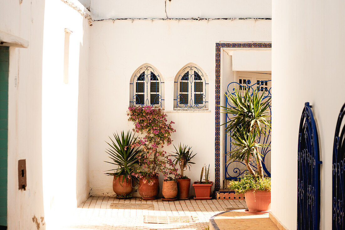 Haus und Pflanzkübel in der Mittagssonne der Kasbah des Oudayas in Rabat, Marokko.