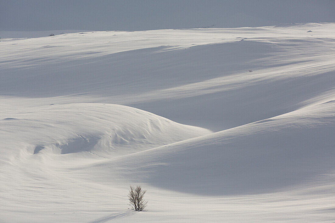  Snowy mountain landscape, Dovrefjell-Sunndalsfjella National Park, Norway 