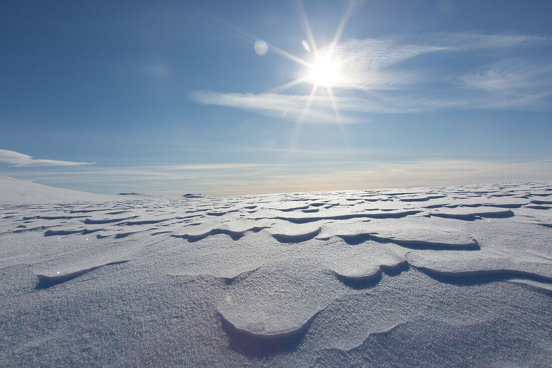  Snowdrifts, Dovrefjell-Sunndalsfjella National Park, Norway 