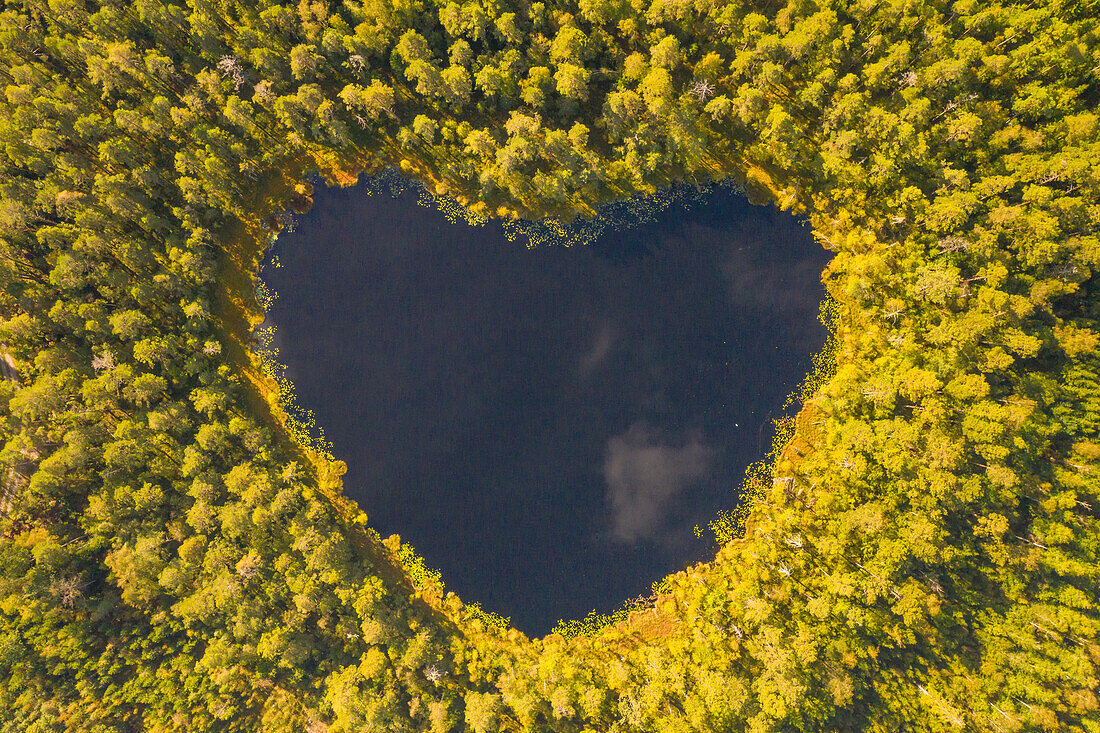  Heart-shaped lake in the forest, autumn, Sweden 