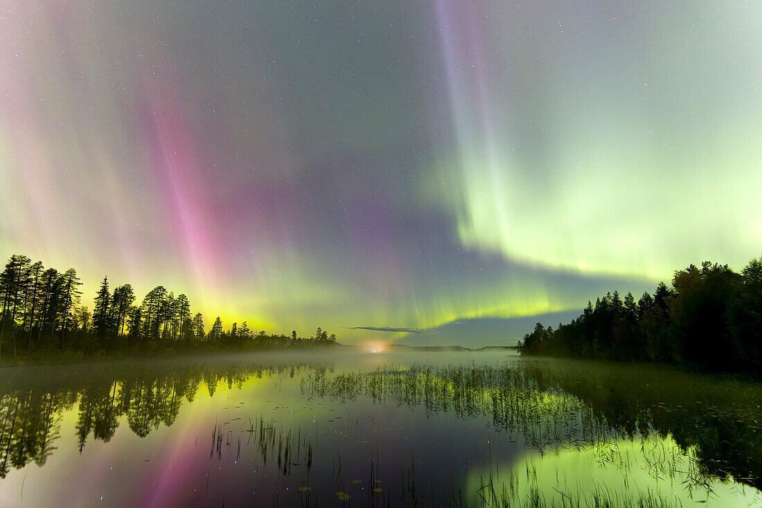  Northern lights, Aurora borealis, in the night sky, Dalarna, Sweden 