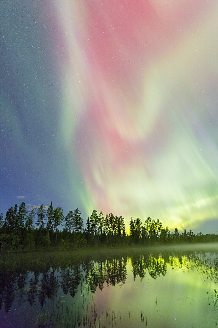  Northern lights, Aurora borealis, in the night sky, Dalarna, Sweden 