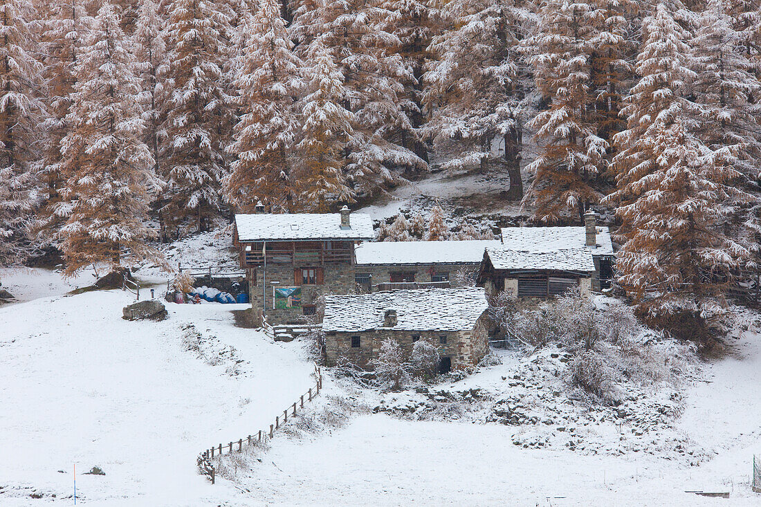  Mountain farm, in the snow, winter, Gran Paradiso National Park, Italy 