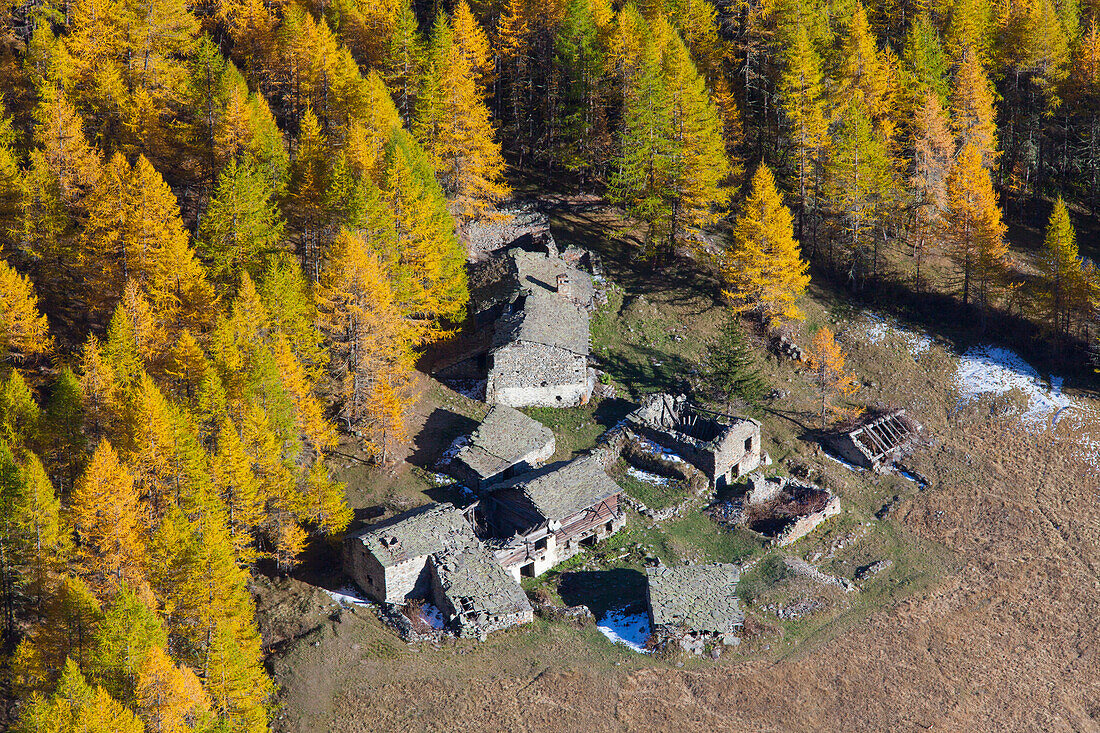  Mountain farm, larch forest, autumn, Gran Paradiso National Park, Italy 