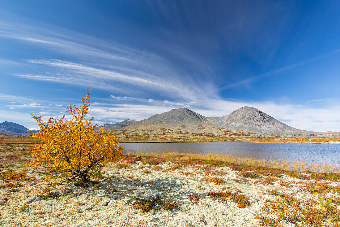  View of the mountain Stygghoin in autumn, Doraldalen, Rondane National Park, Oppland, Norway 