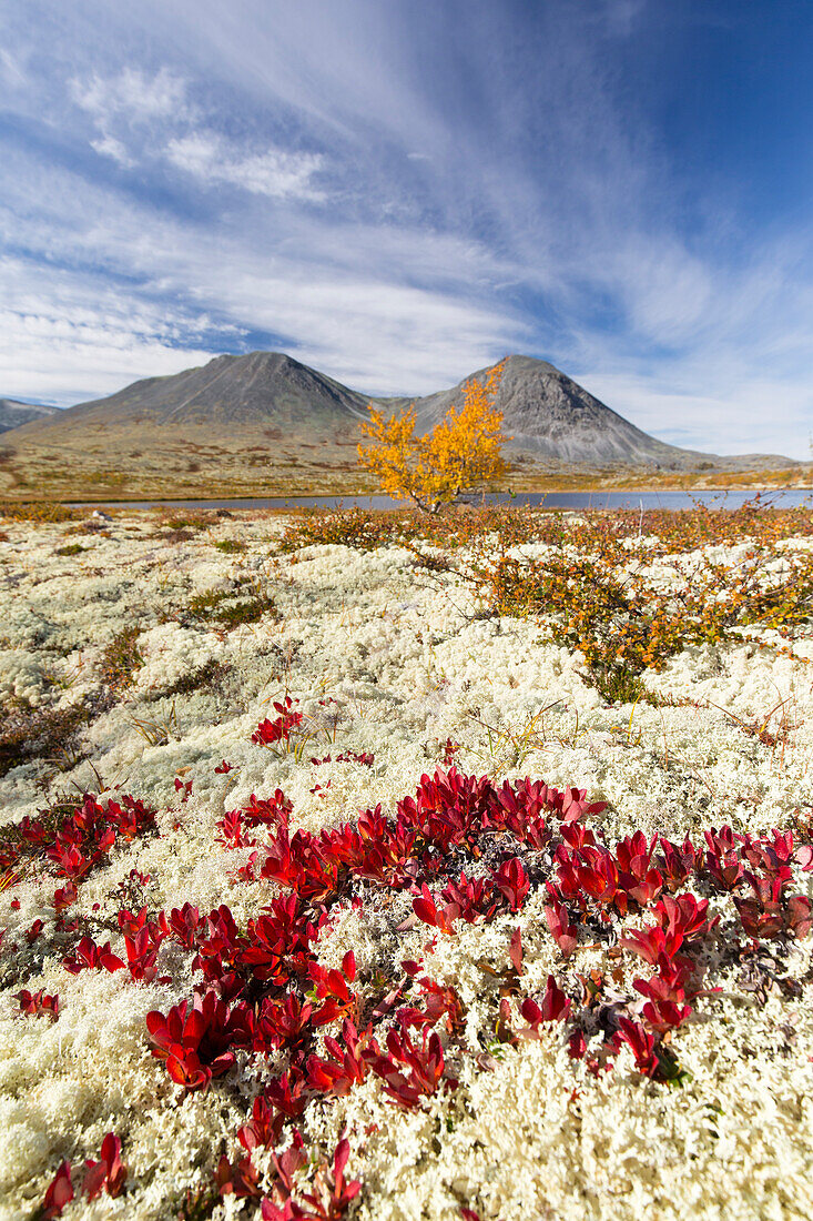 Blick auf den Berg Stygghoin im Herbst, Doraldalen, Rondane Nationalpark, Oppland, Norwegen