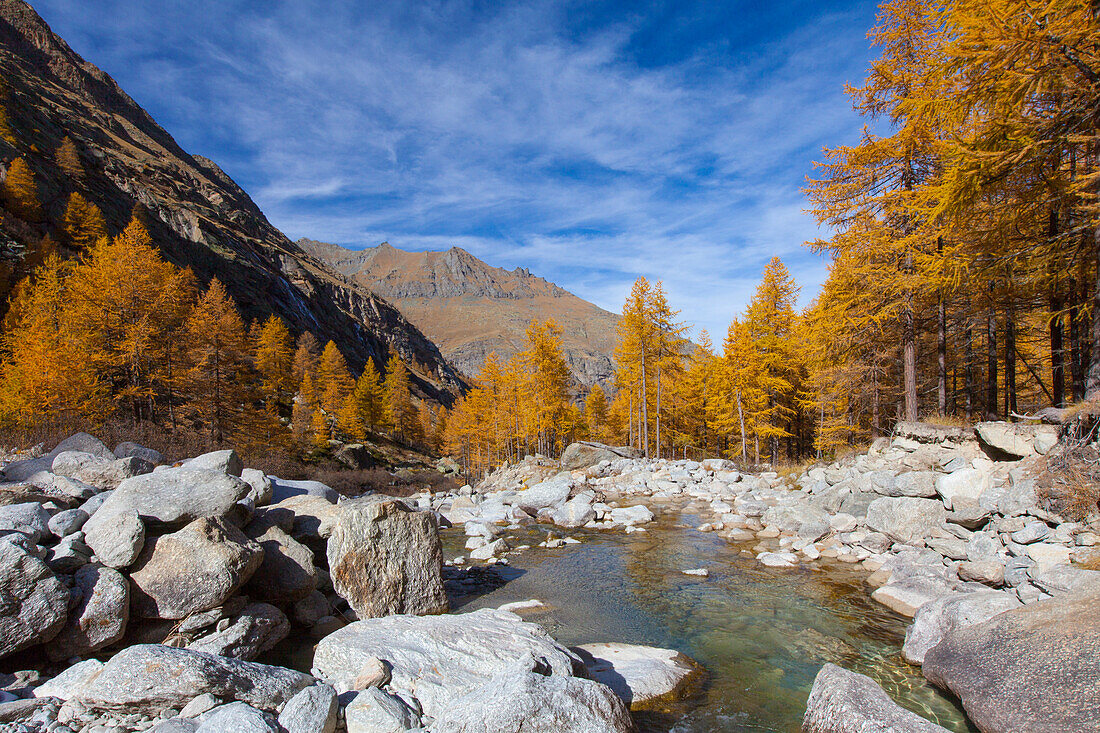  mountain landscape, larch trees, mountain stream, autumn, Gran Paradiso National Park, Italy 