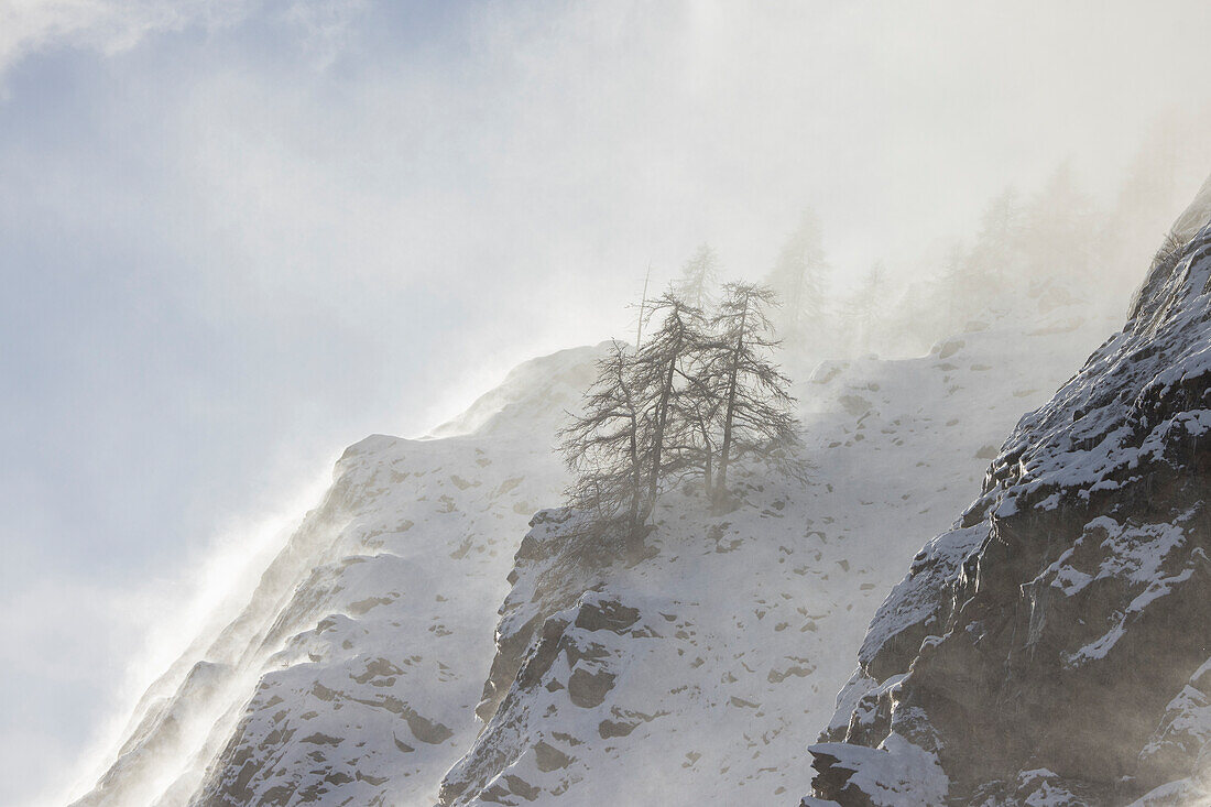 Schneesturm im Gebirge, Winter, Nationalpark Gran Paradiso, Aostatal, Italien