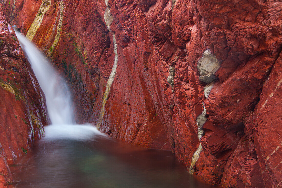 Bach fliesst durch eisenhaltiges Gestein, Red Rock Canyon, Waterton Lakes Nationalpark, Alberta, Kanada