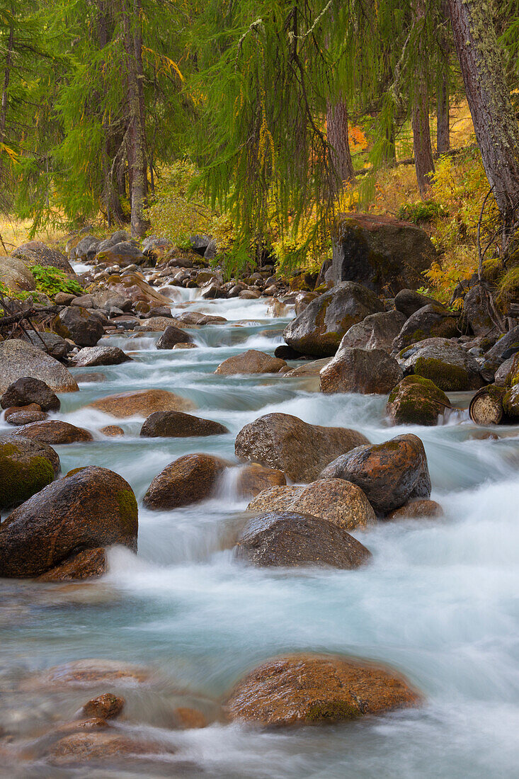  Mountain river Clemgia, Swiss National Park, Graubünden, Switzerland 