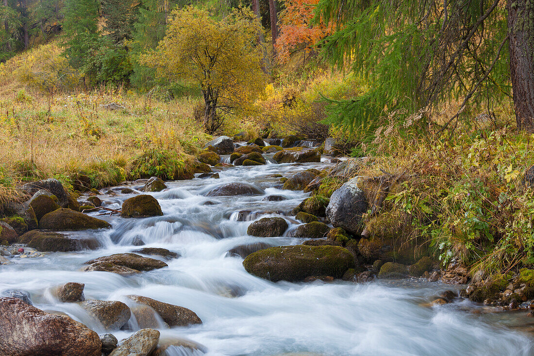  Mountain river Clemgia, Swiss National Park, Graubünden, Switzerland 