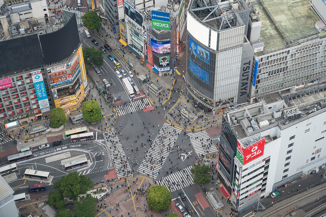  Scramble Crossing Shibuya, Tokyo, Japan 