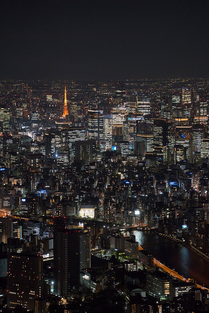  Tokyo Tower at night, Tokyo, Japan 