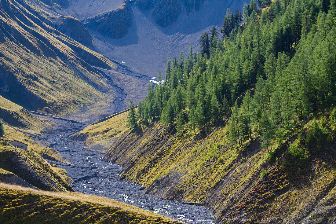 Bach Ova da Trupchun, Val Trupchun, Schweizer Nationalpark, Graubünden, Schweiz