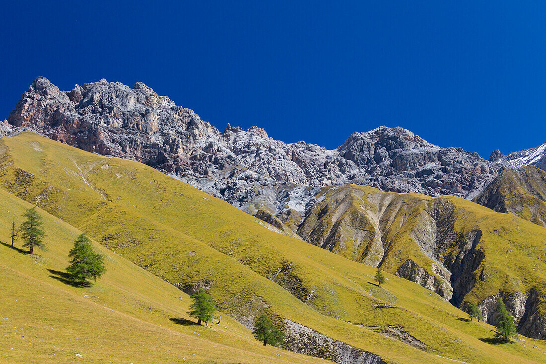 Blick auf den Piz Fier, Val Trupchun, Schweizer Nationalpark, Graubünden, Schweiz