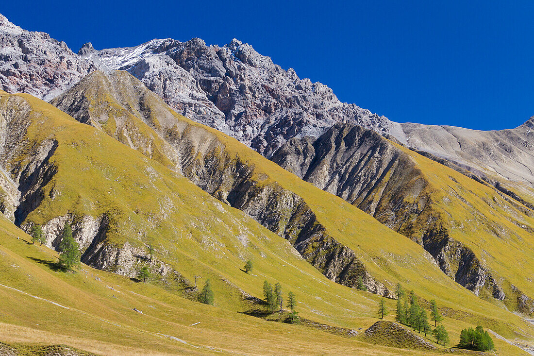 Blick auf den Piz Fier, Val Trupchun, Schweizer Nationalpark, Graubünden, Schweiz