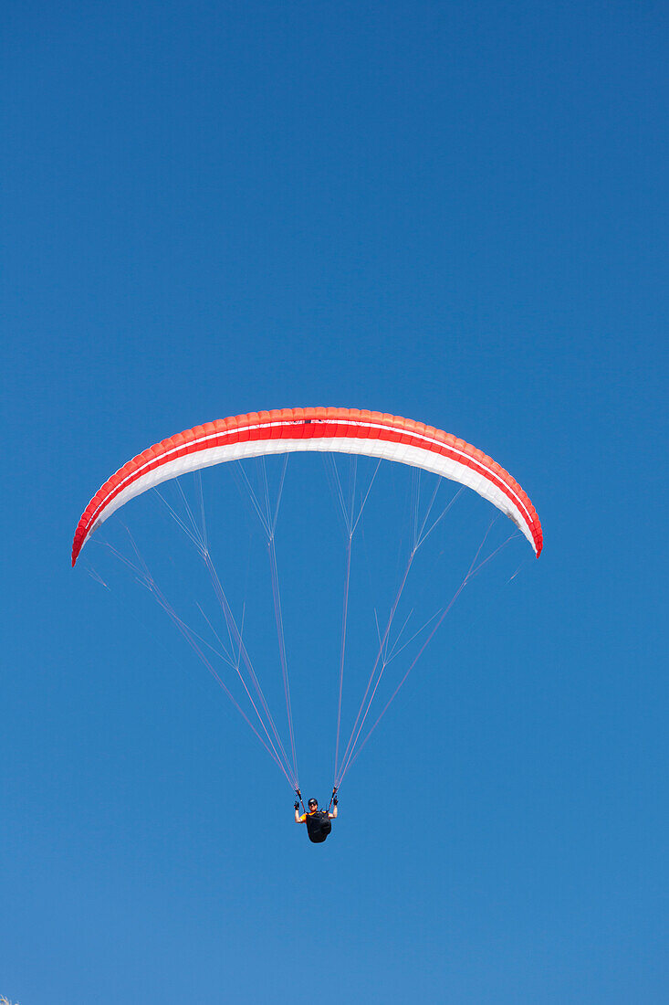  Paragliders, Paragliding, on the Baltic coast, Scania province, Sweden 