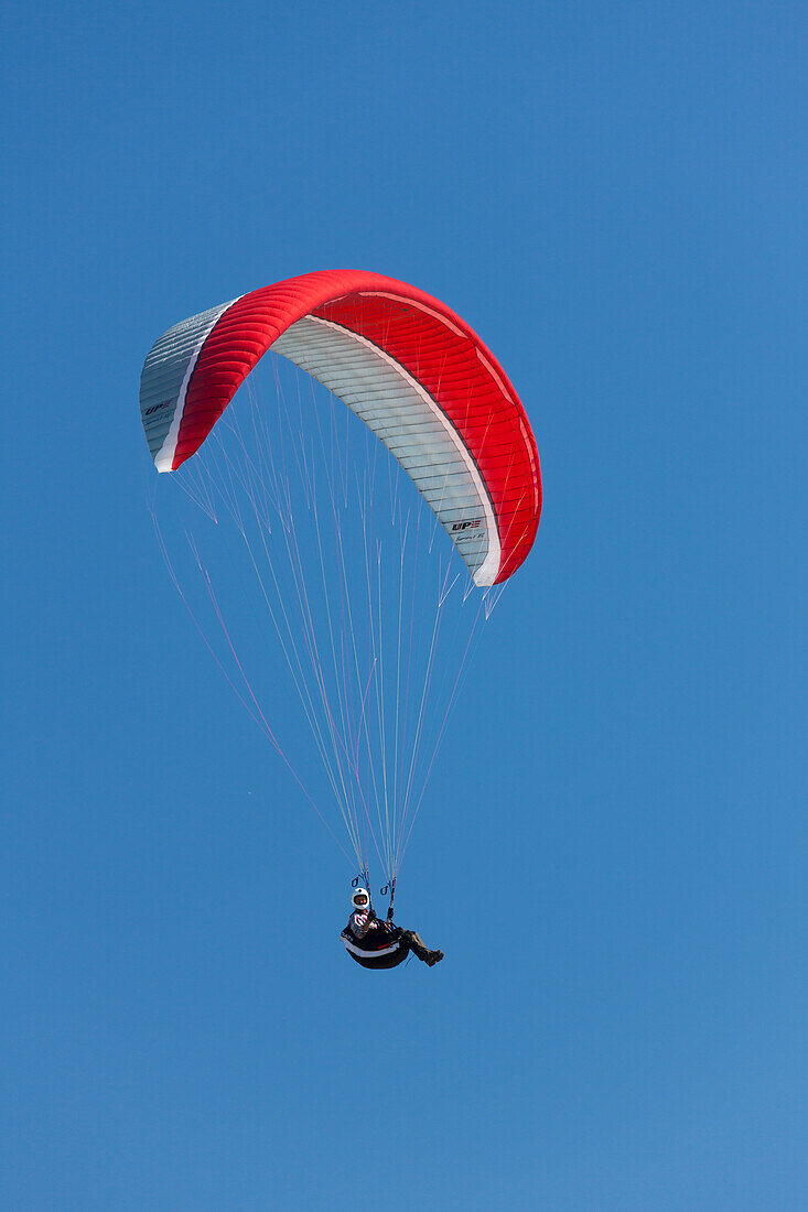  Paragliders, Paragliding, on the Baltic coast, Scania province, Sweden 