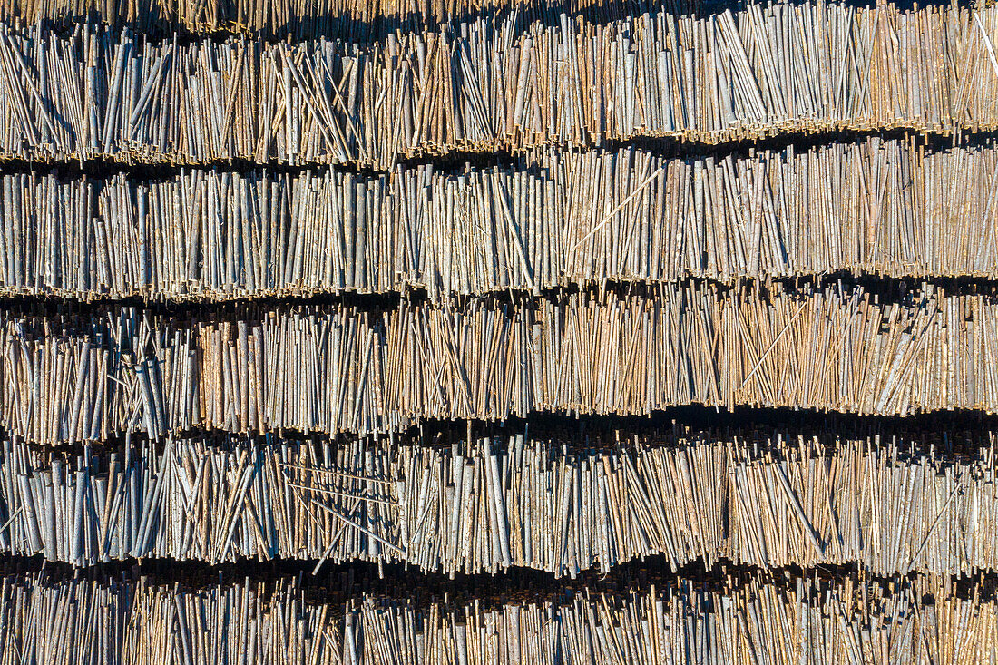 Holzstapel an einer Papierfabrik, Värmland, Schweden