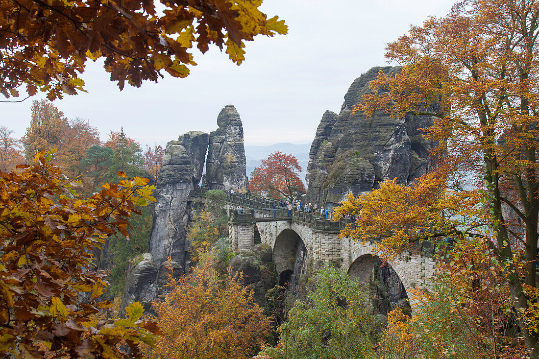  Bastei Bridge, Elbe Sandstone Mountains, Saxon Switzerland National Park, Saxony, Germany 